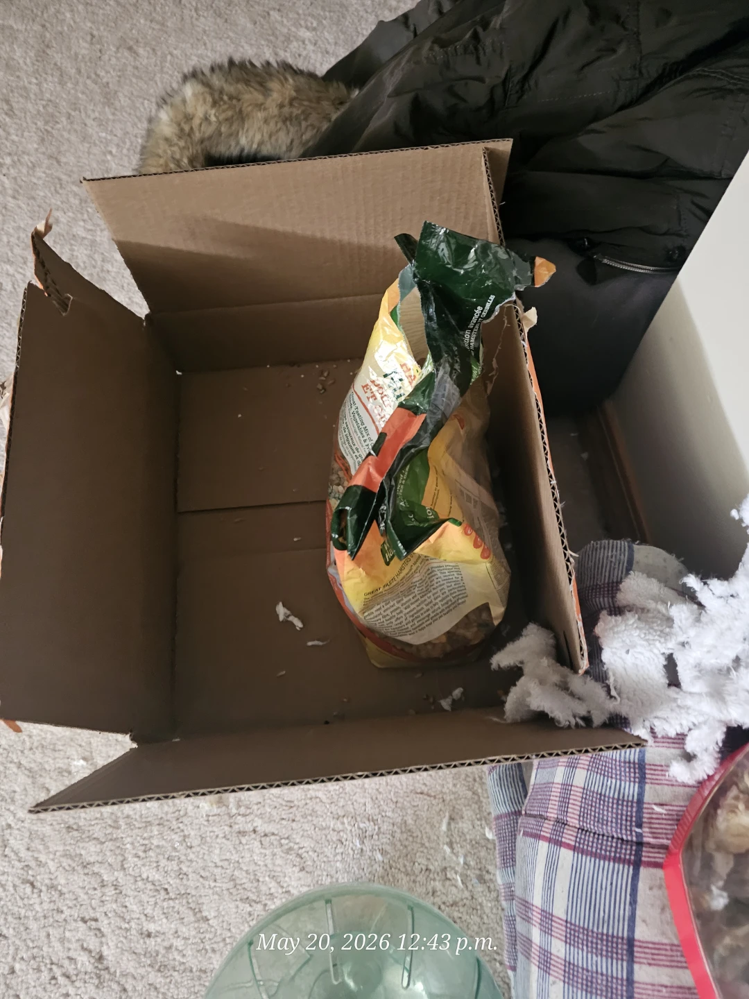 Hamster URGENT!!! - photo 2