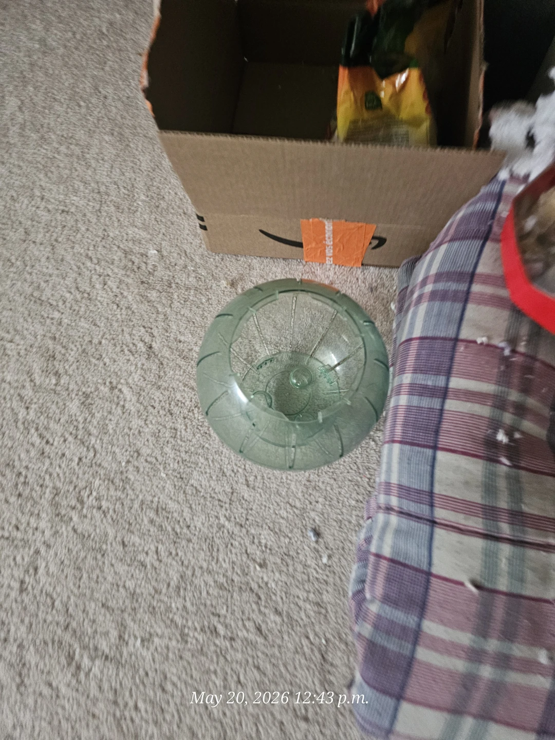 Hamster URGENT!!! - photo 3