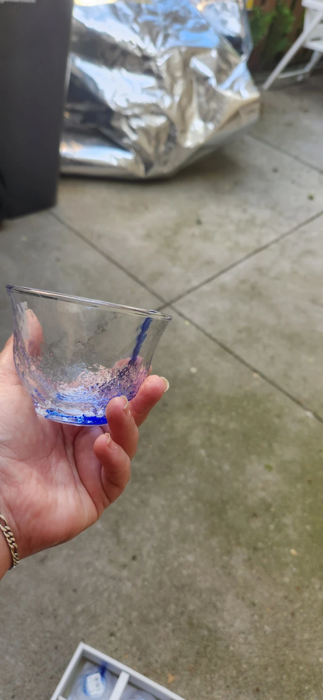 Set of 5 Japanese Sake Glasses with Blue Accents