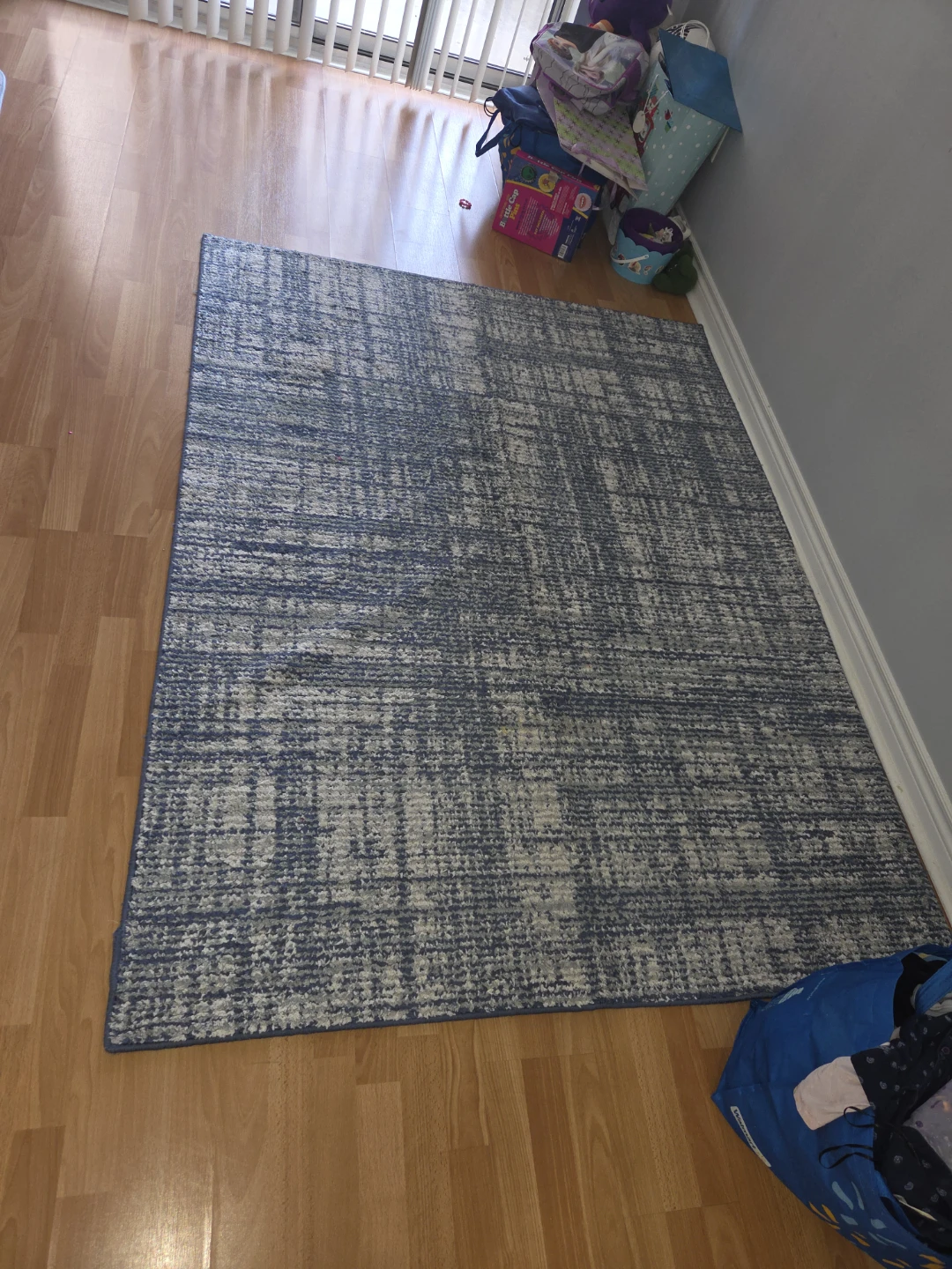 Blue and White Area Rug