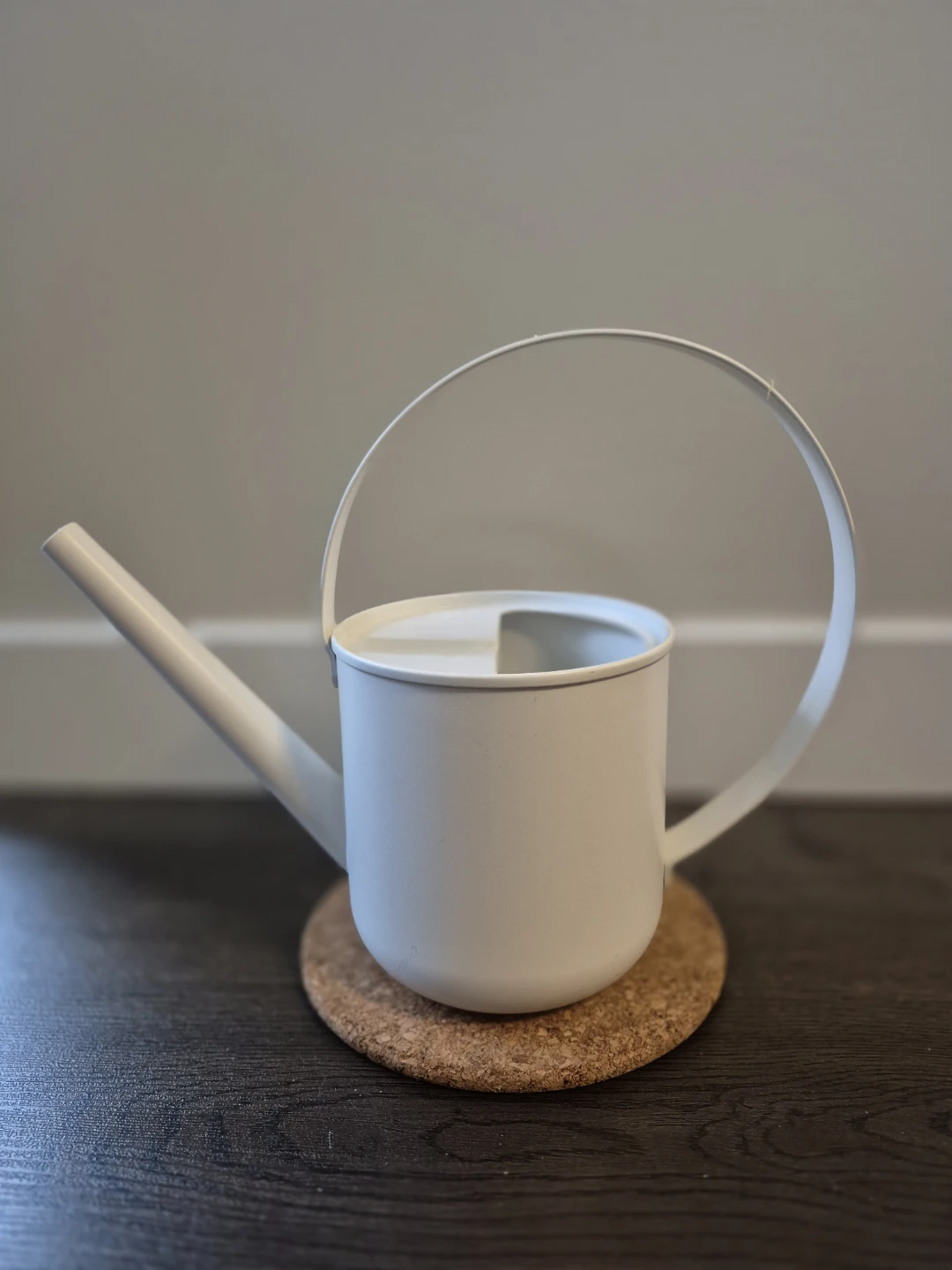 White Watering Can