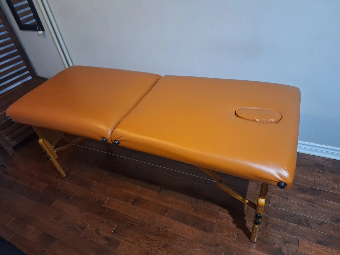 Massage Table, Carry Case, and Vinyl Cover - photo 2