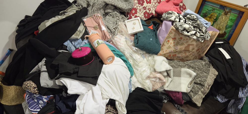 Assorted Women's Clothing Bundle - photo 5