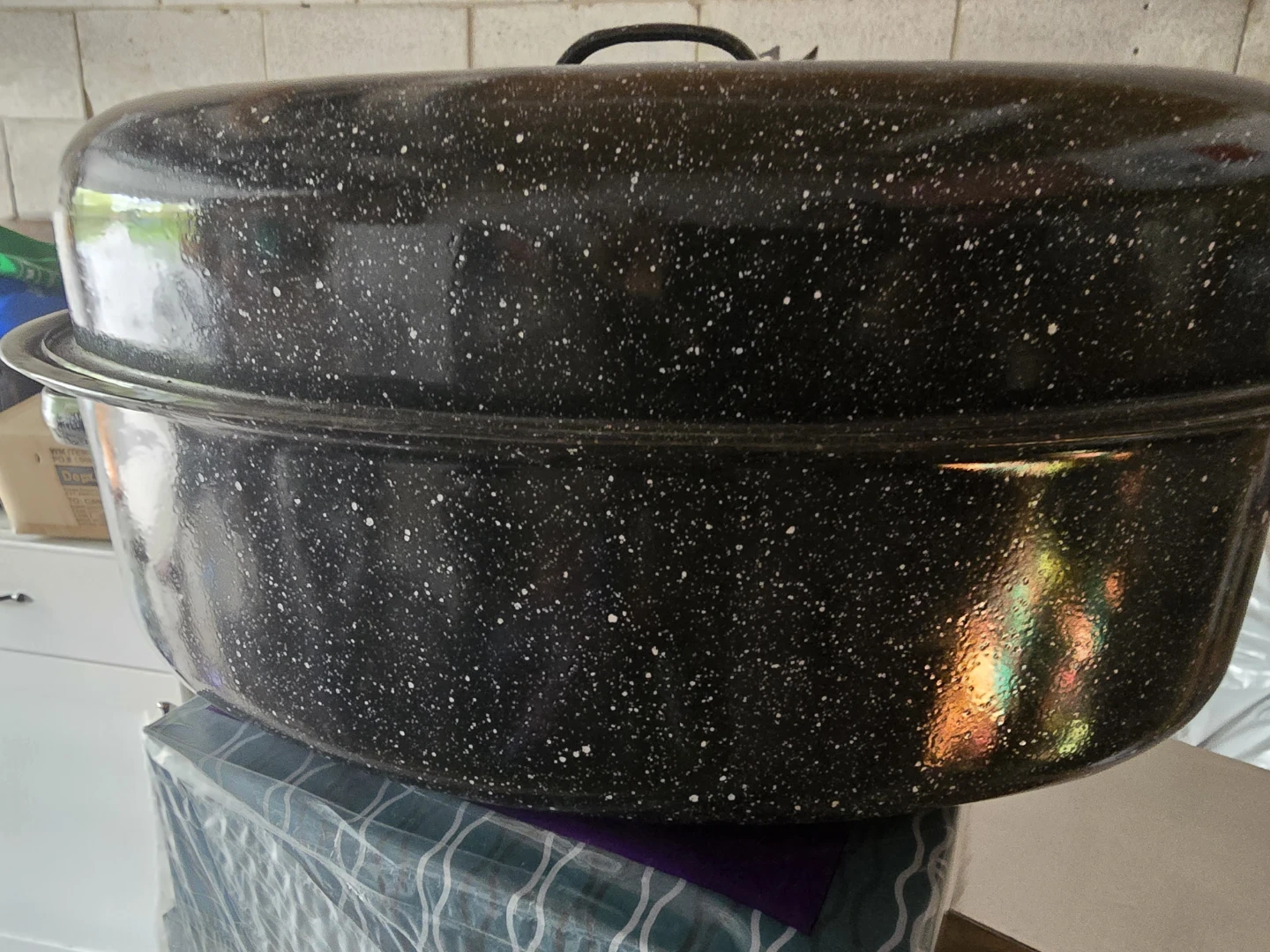 Black Speckled Roasting Pan with Lid