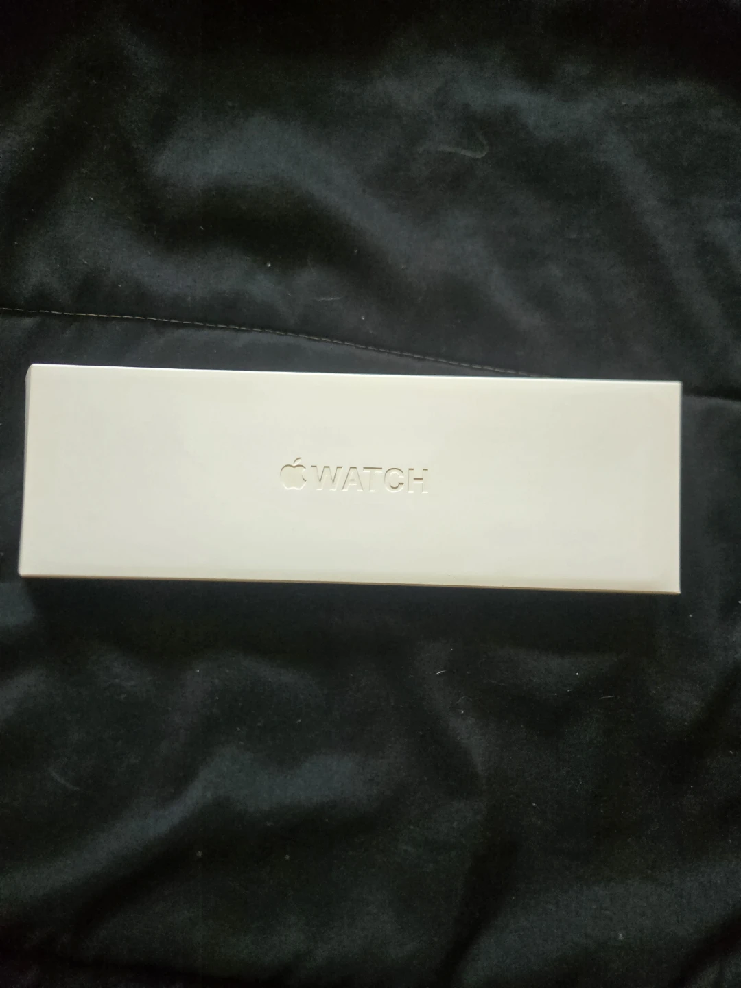 Apple Watch Series 6 45mm Aluminum Case