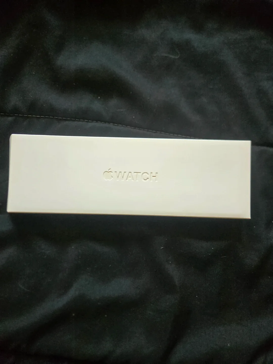 Apple Watch Series 6 45mm Aluminum Case