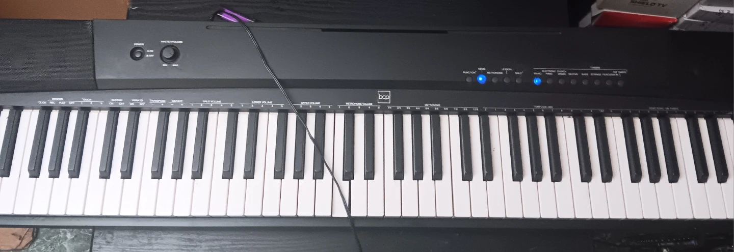 DDJ 88-Key Digital Piano Keyboard