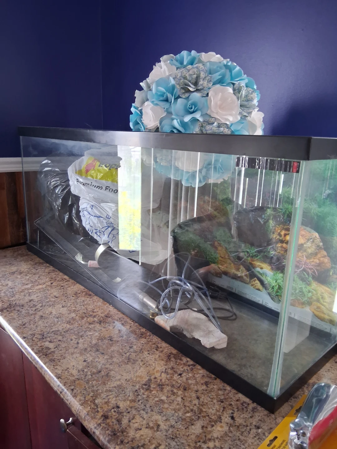 Large Glass Aquarium Tank - photo 4