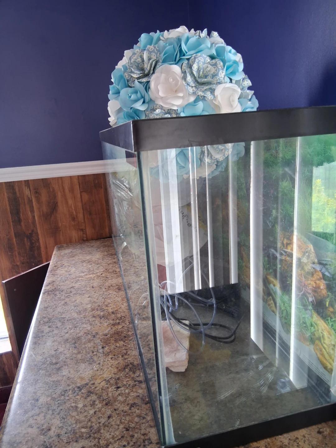 Large Glass Aquarium Tank - photo 5