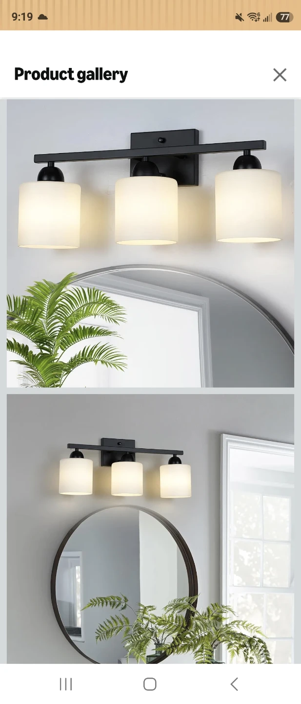 3-Light Vanity Light Fixture - photo 4