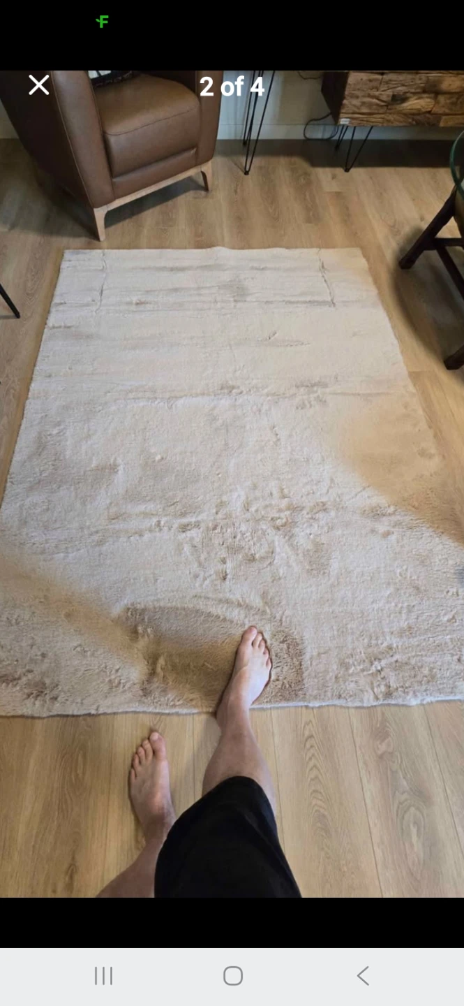 6x9 PLUSH AREA RUG from CRATE and BARREL