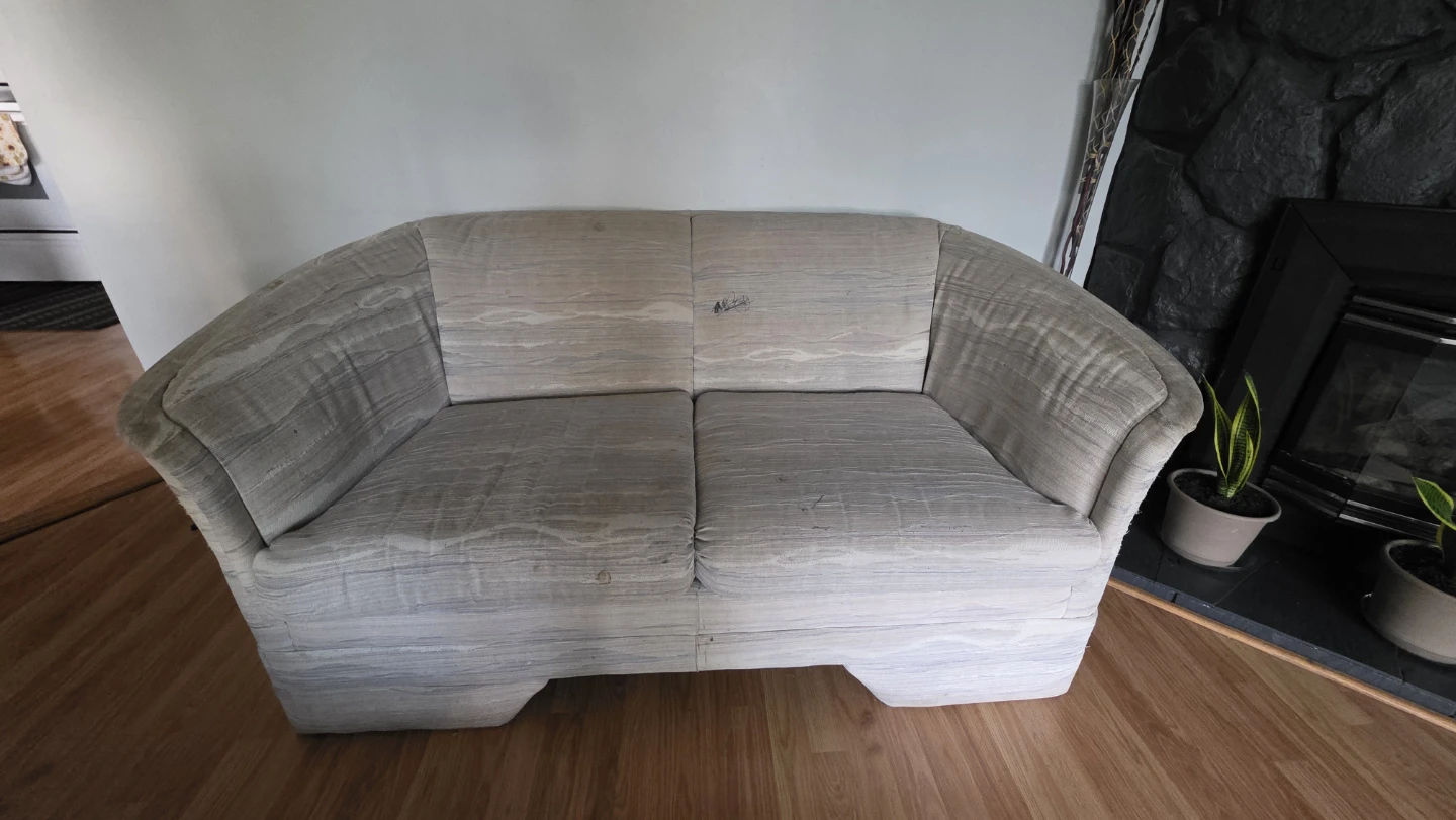 Free Loveseat Sofa - Beige/Grey Pattern - photo 2
