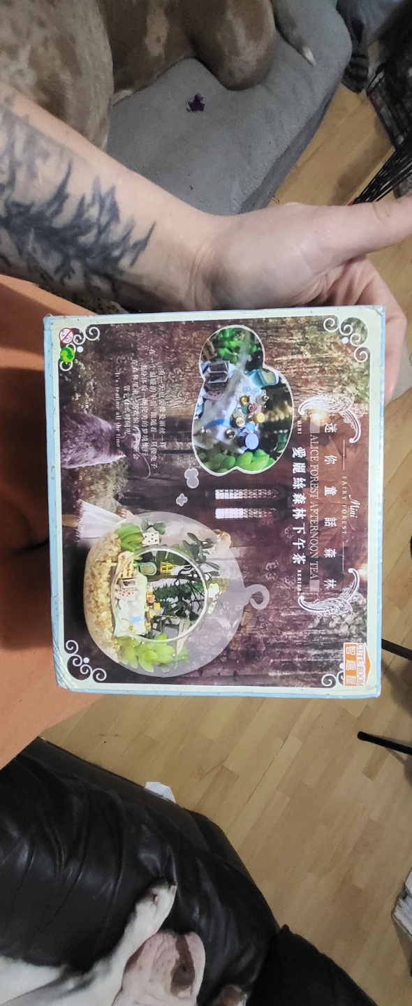 Alice Forest Afternoon Tea Miniature House Kit