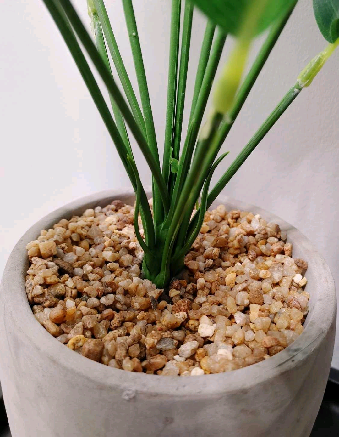 Artificial  Plant in Grey Pot New - photo 3