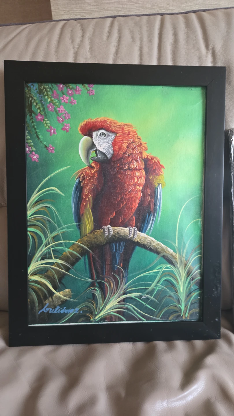 Framed Oil Painting of a Macaw Parrot