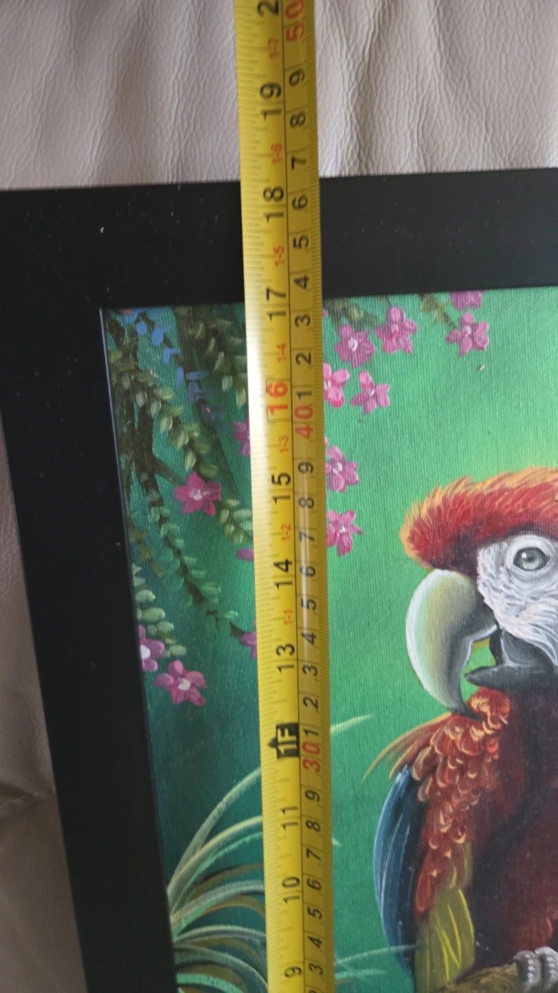 Framed Oil Painting of a Macaw Parrot - photo 3