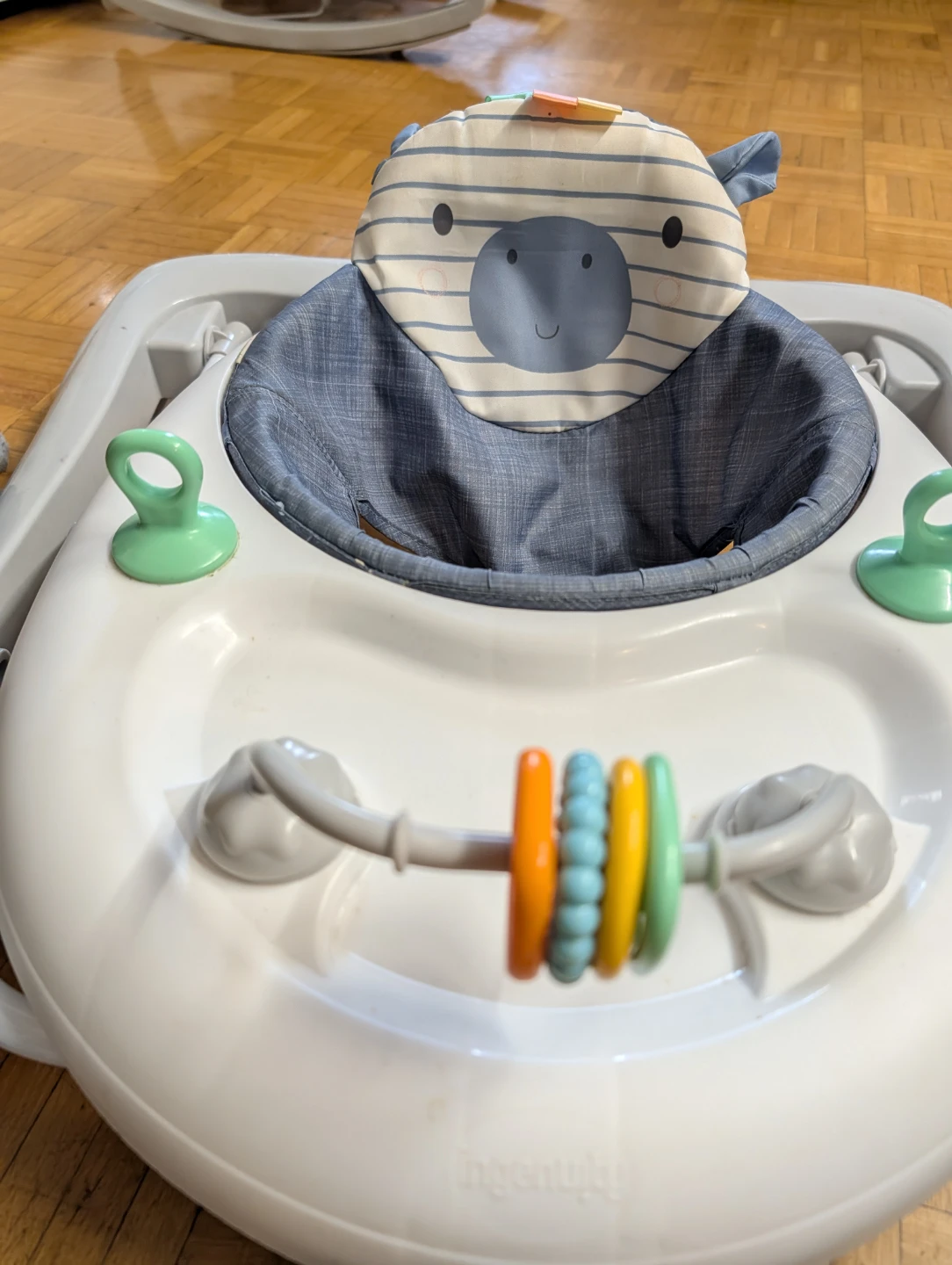 Ingenuity Baby Walker - photo 2