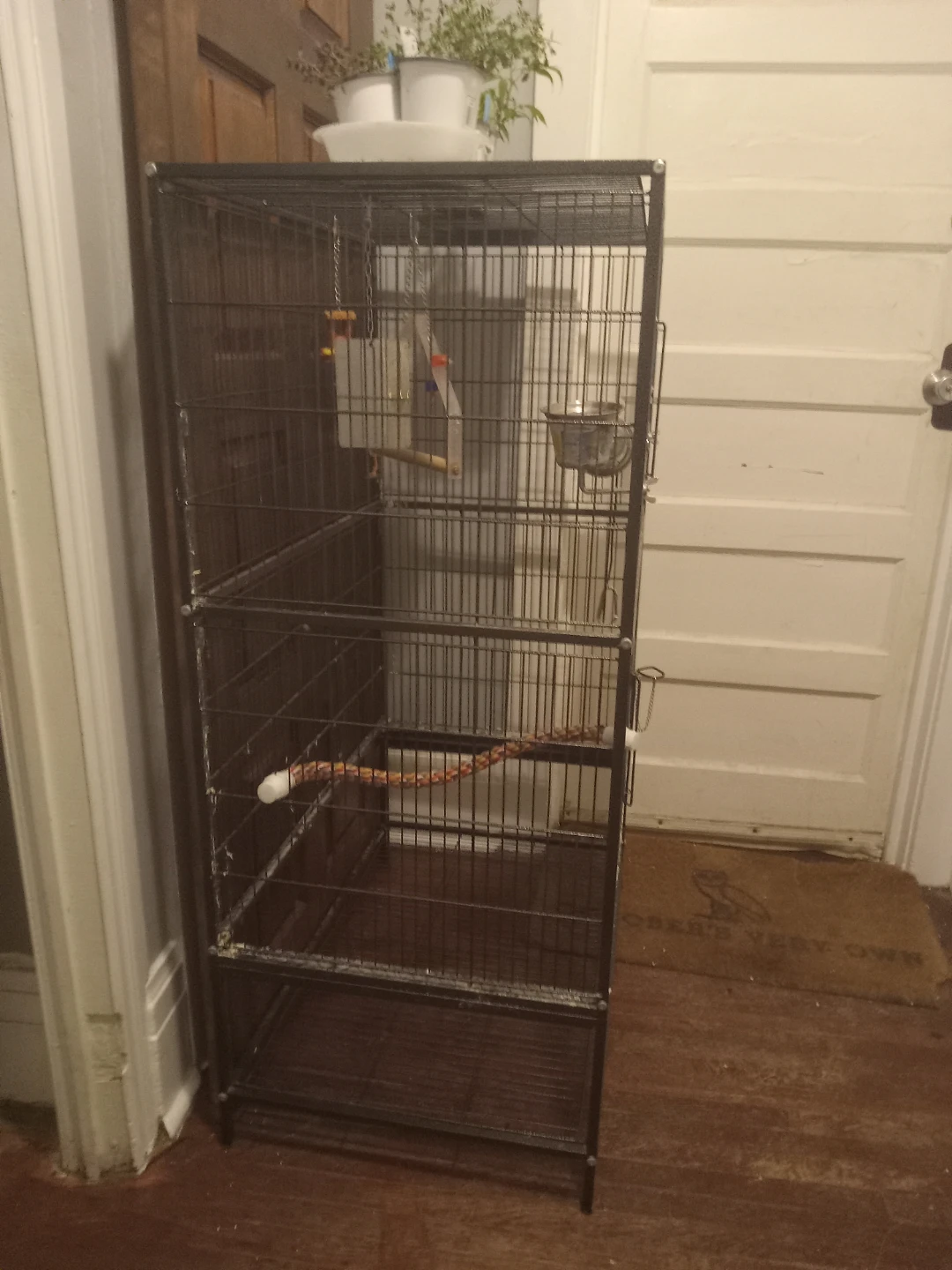 Large Bird Cage with Perches and Food Bowls - photo 2