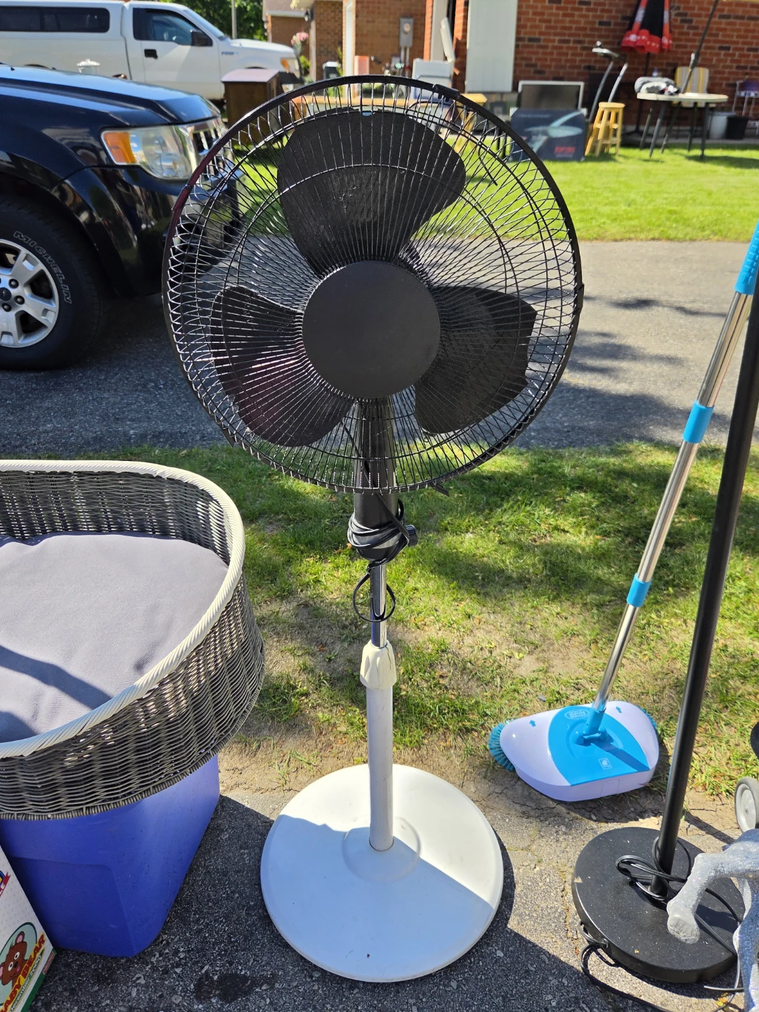 Black oscillating pedestal fan