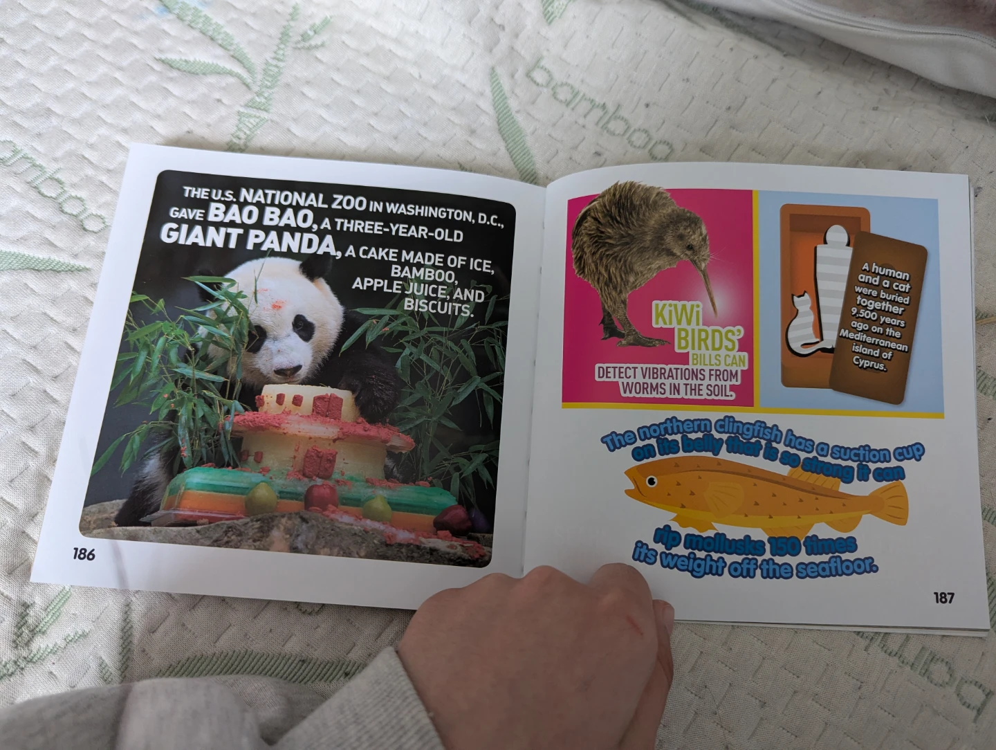 National Geographic Kids Weird But True! Animals Book - photo 4