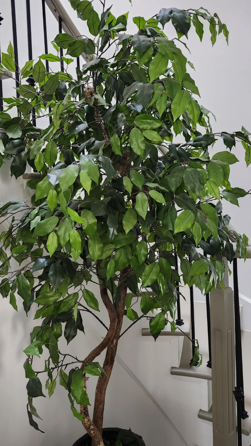 Artificial Ficus Tree Plant - photo 5