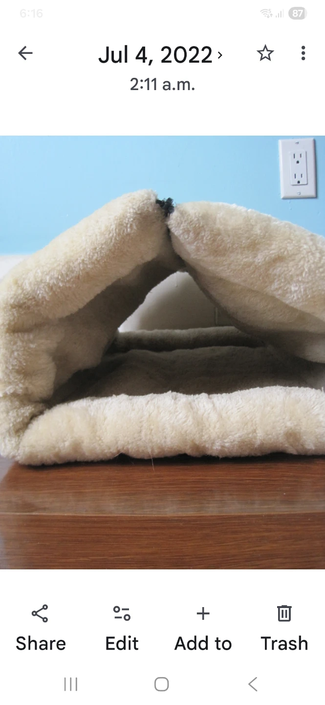 Pet Bed/Mat. Beige - Polyester Fiber. It's available.