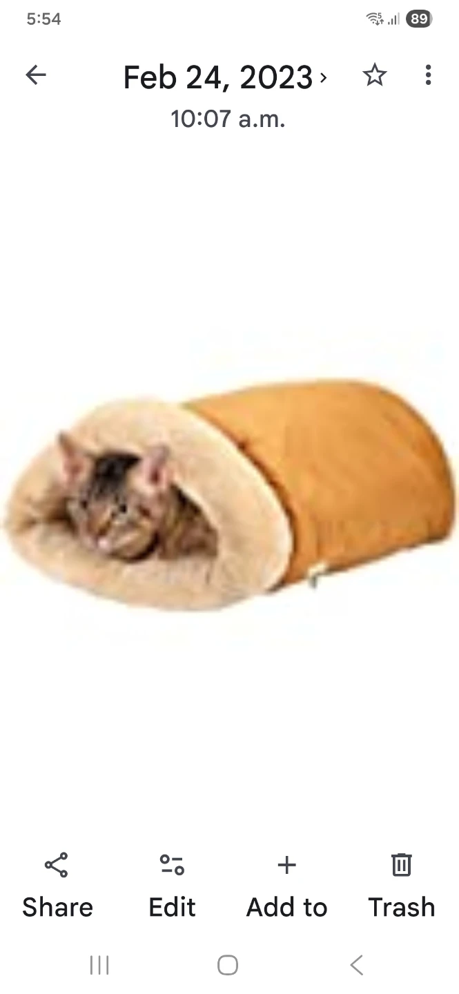 Pet Bed/Mat. Beige - Polyester Fiber. It's available. - photo 2