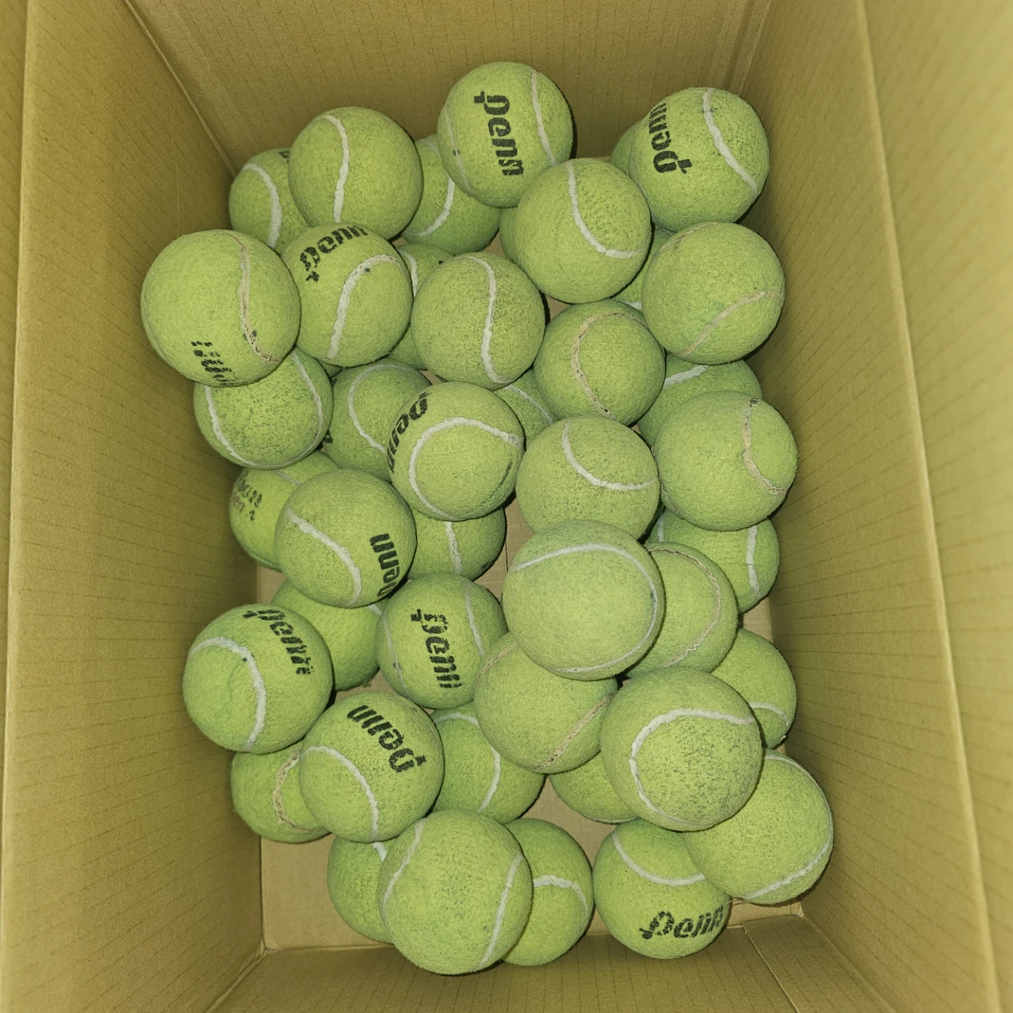 Used Penn Pressureless Tennis Balls