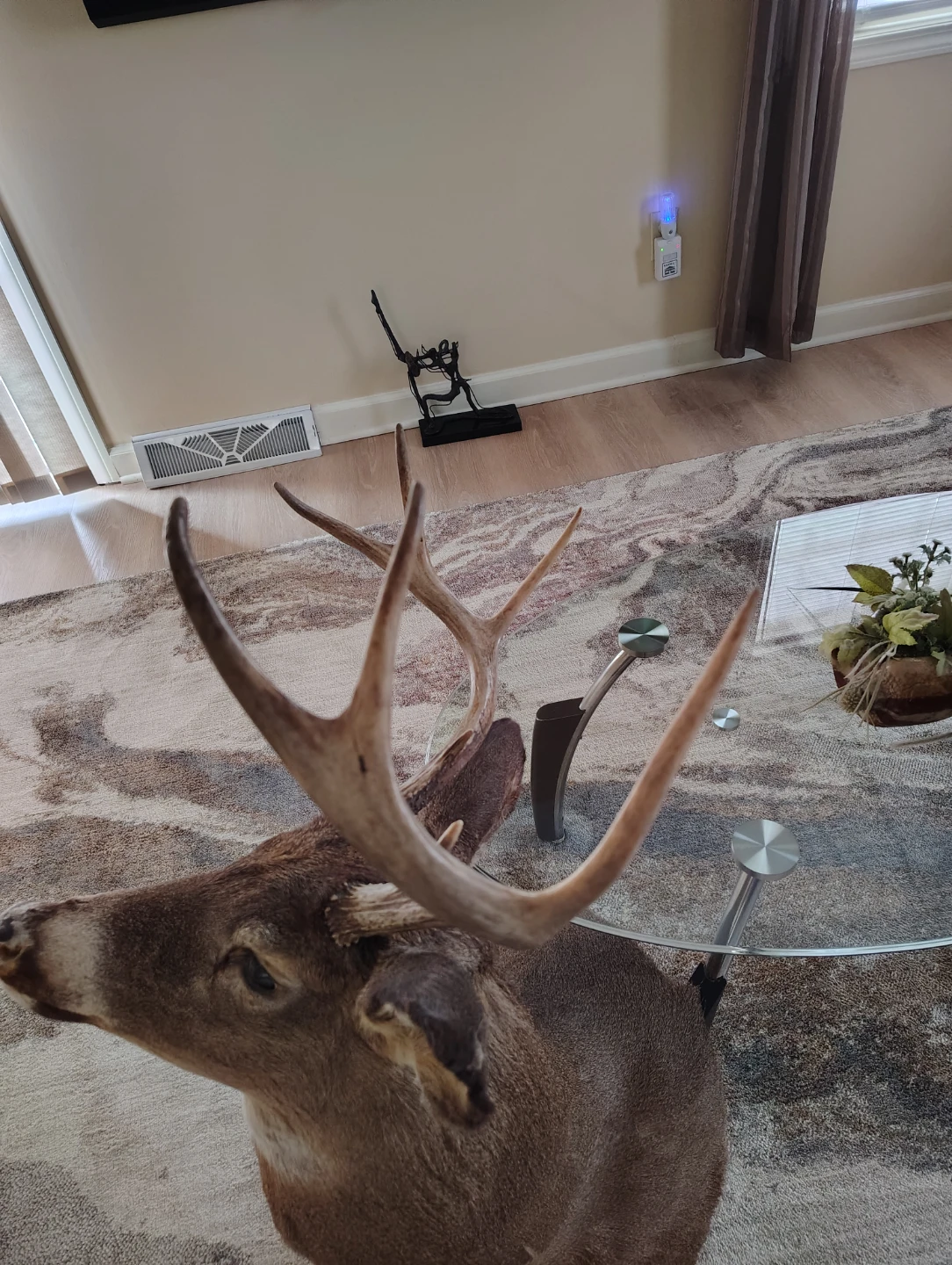 Deer Mount - photo 2