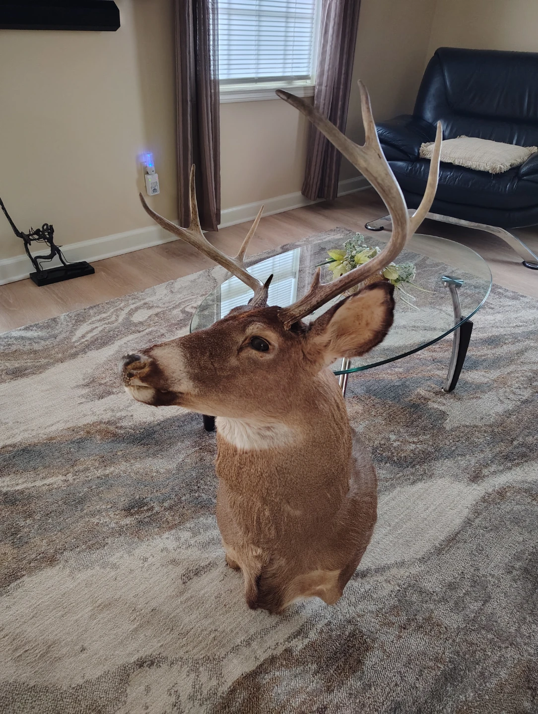 Deer Mount - photo 3