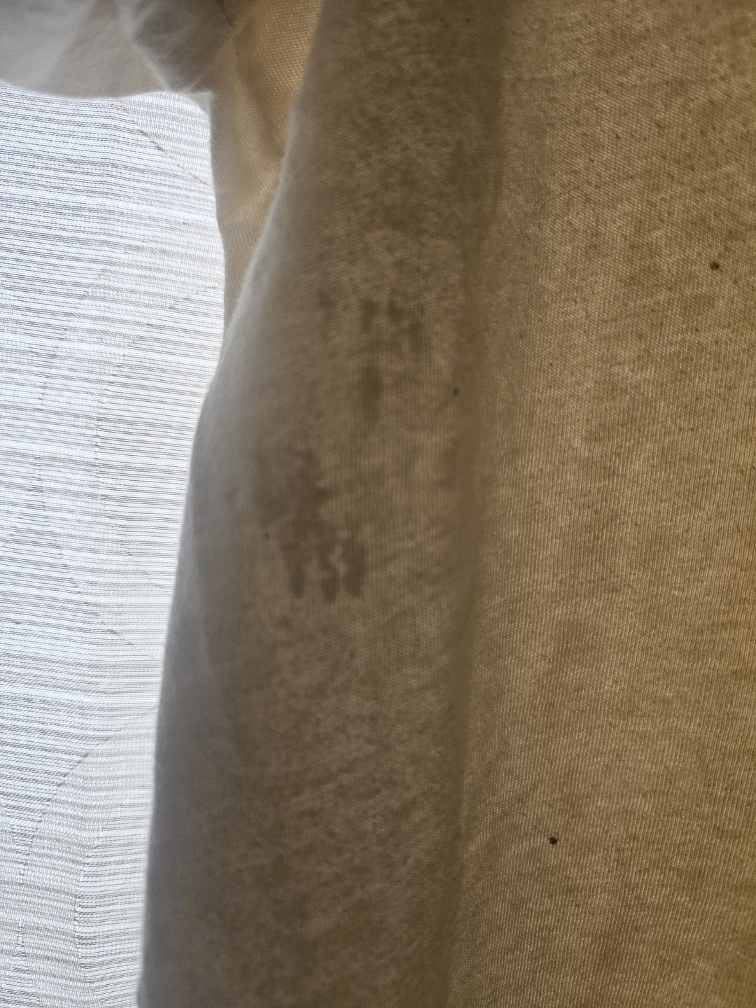 Stray Cats Graphic T-Shirt - photo 2