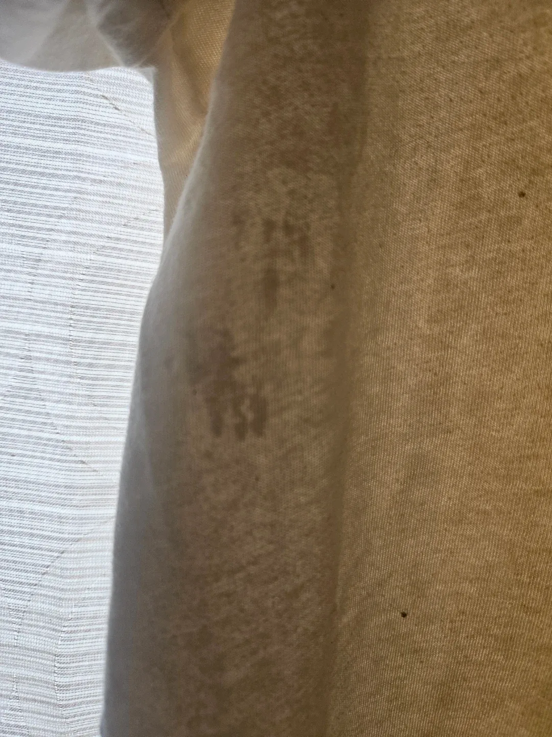 Stray Cats Graphic T-Shirt - photo 2