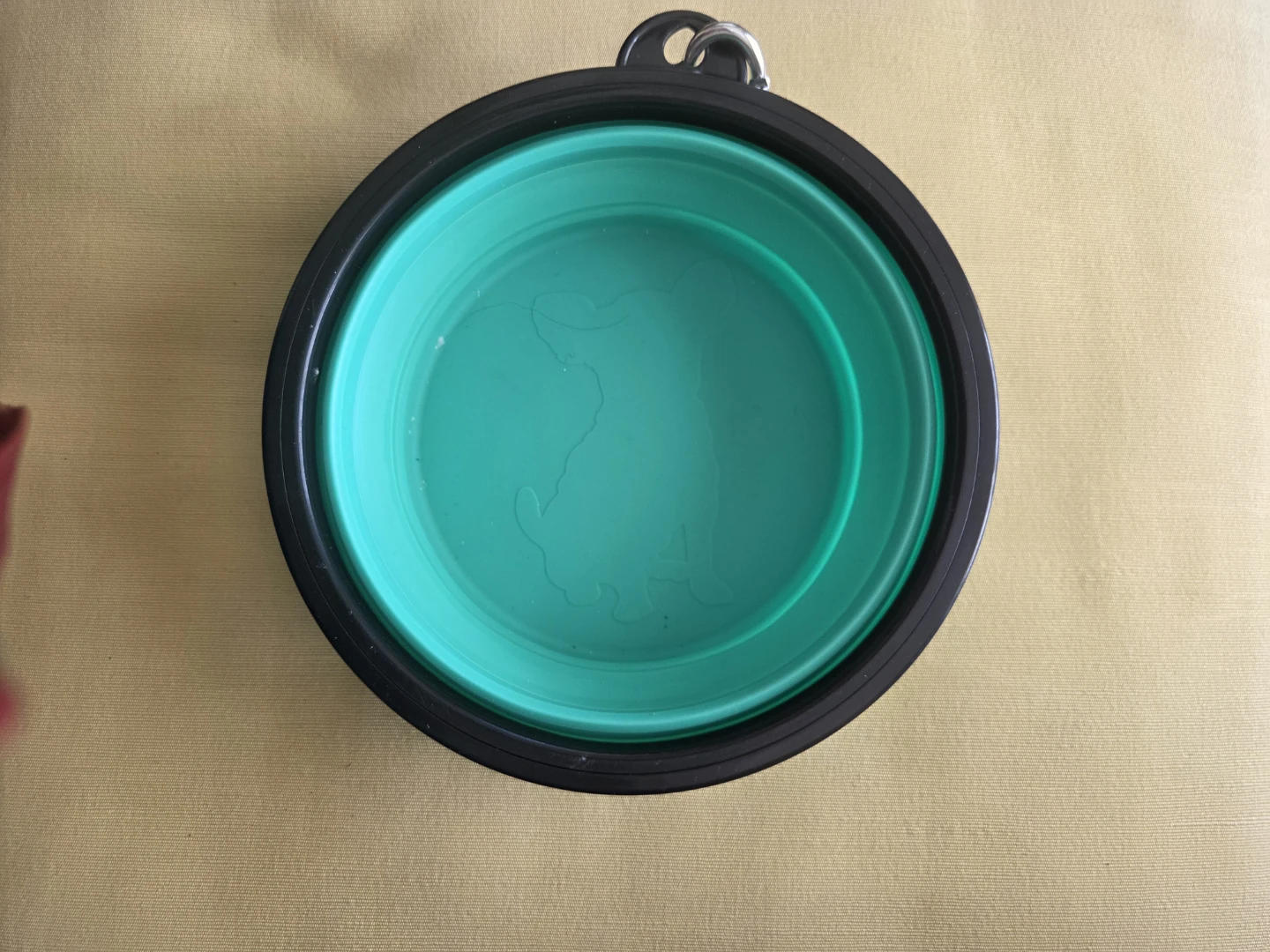 Waterproof Dog Boots - & water bowl - photo 4