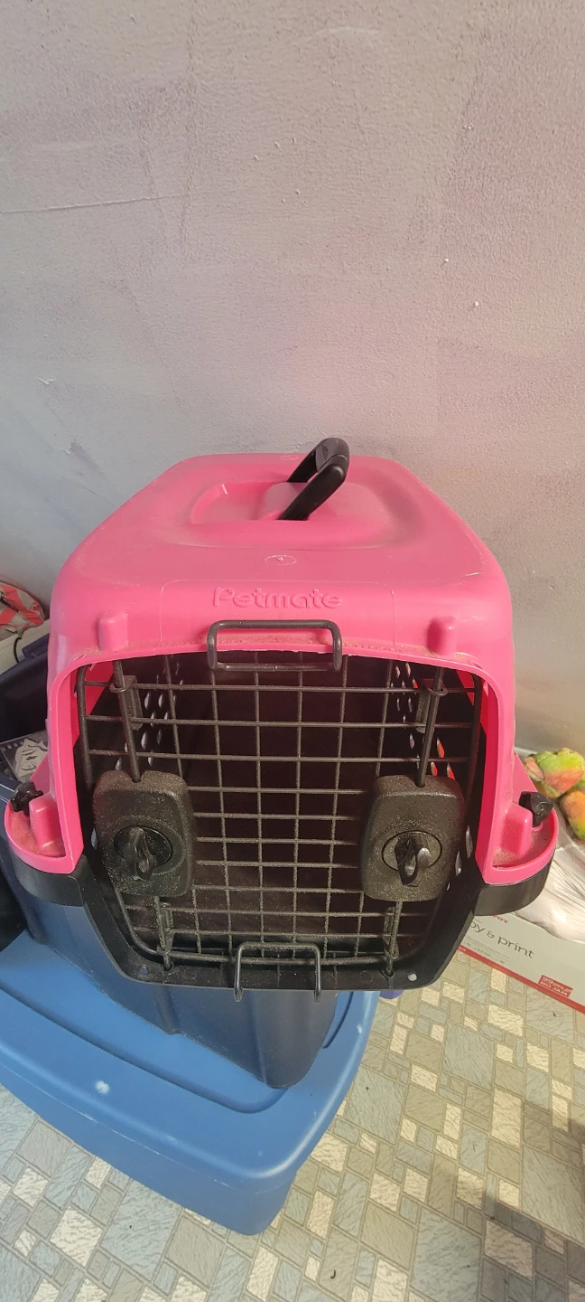 Petmate Pink Pet Carrier Small