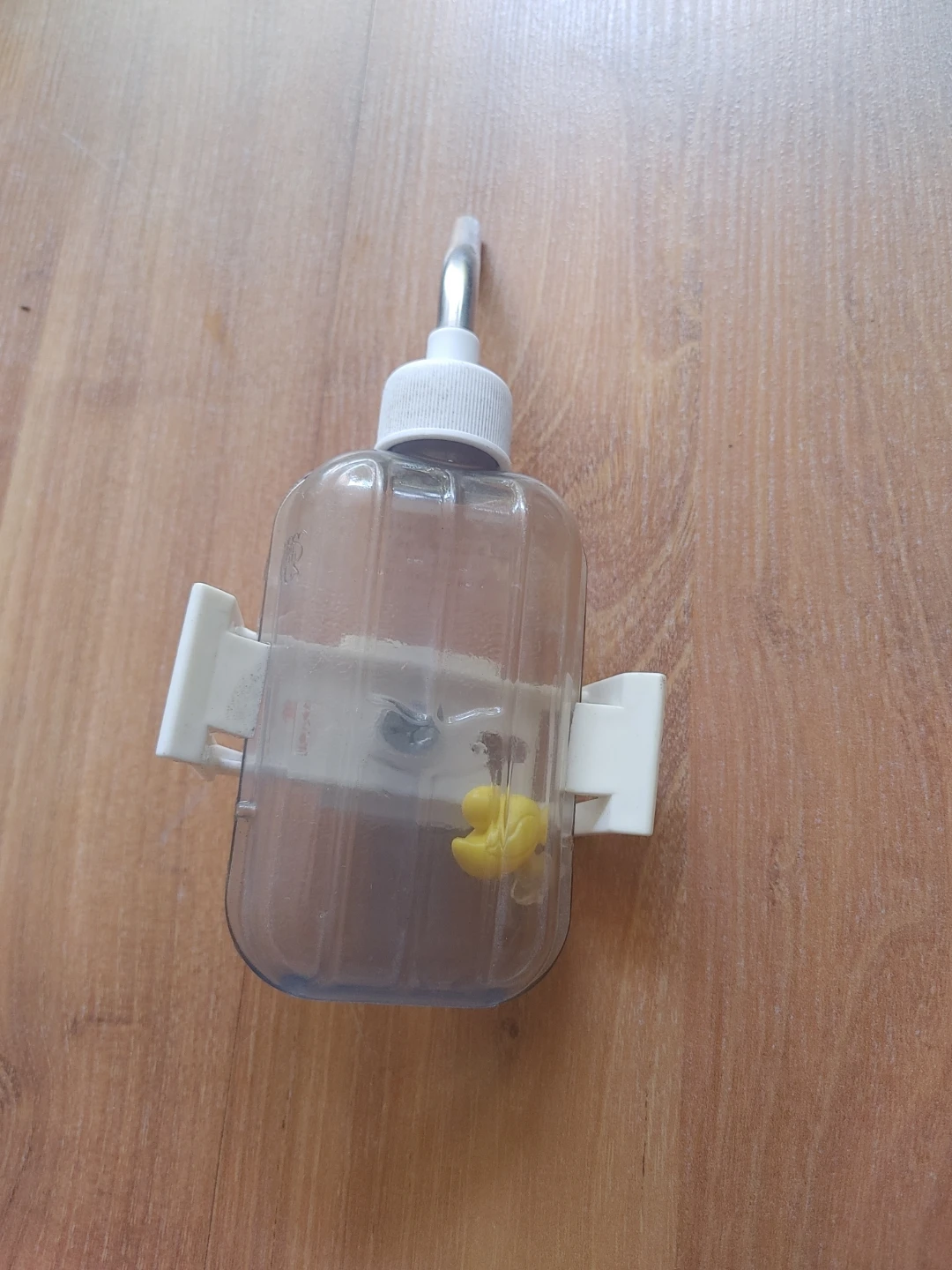 Hamster stuff - photo 4