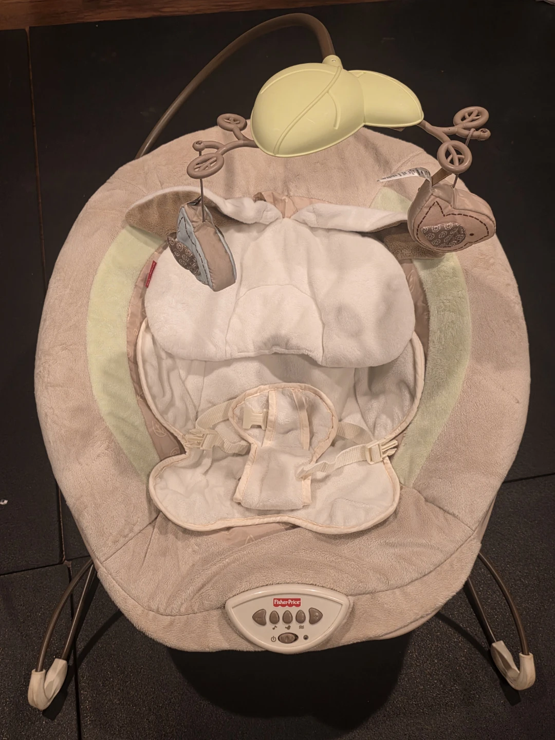 Fisher-Price Baby Bouncer