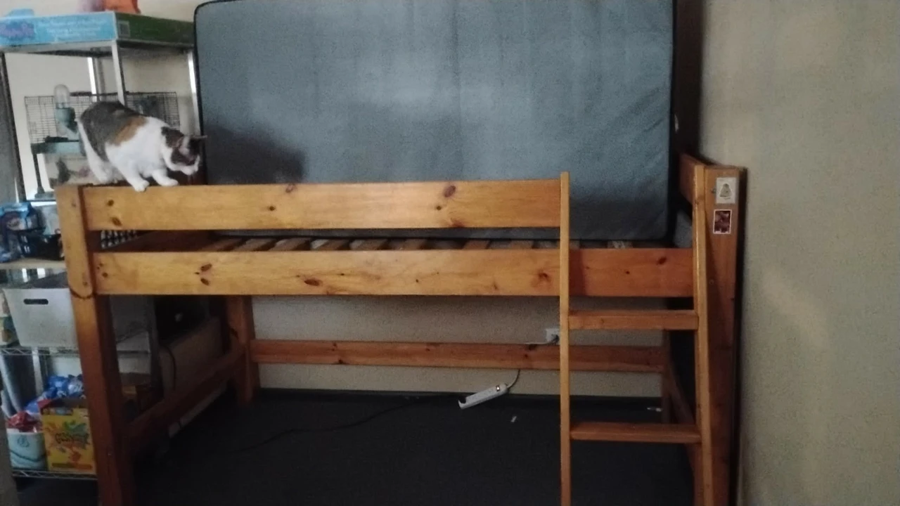 Wooden Loft Bed Frame with mattress