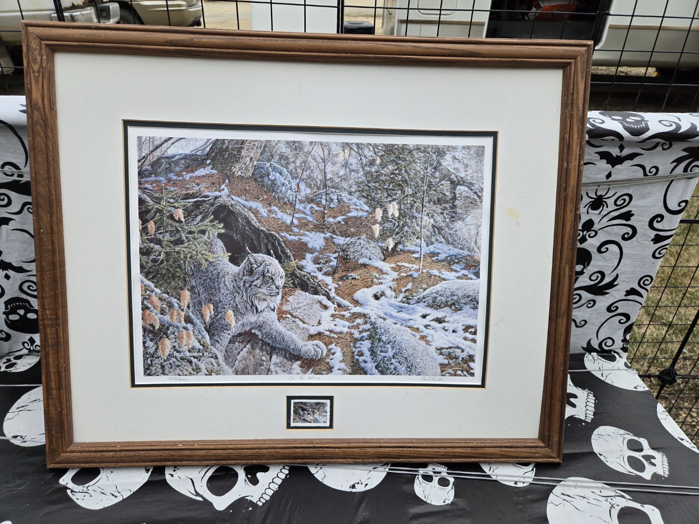 Framed "On The Move" Lynx Print by Paul Rankin (1995)