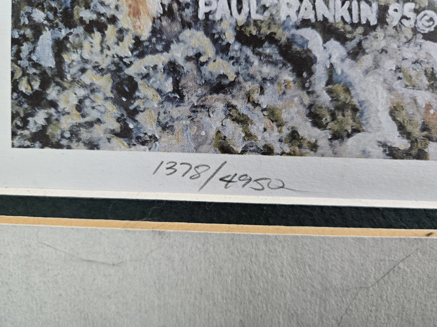 Framed "On The Move" Lynx Print by Paul Rankin (1995) - photo 2