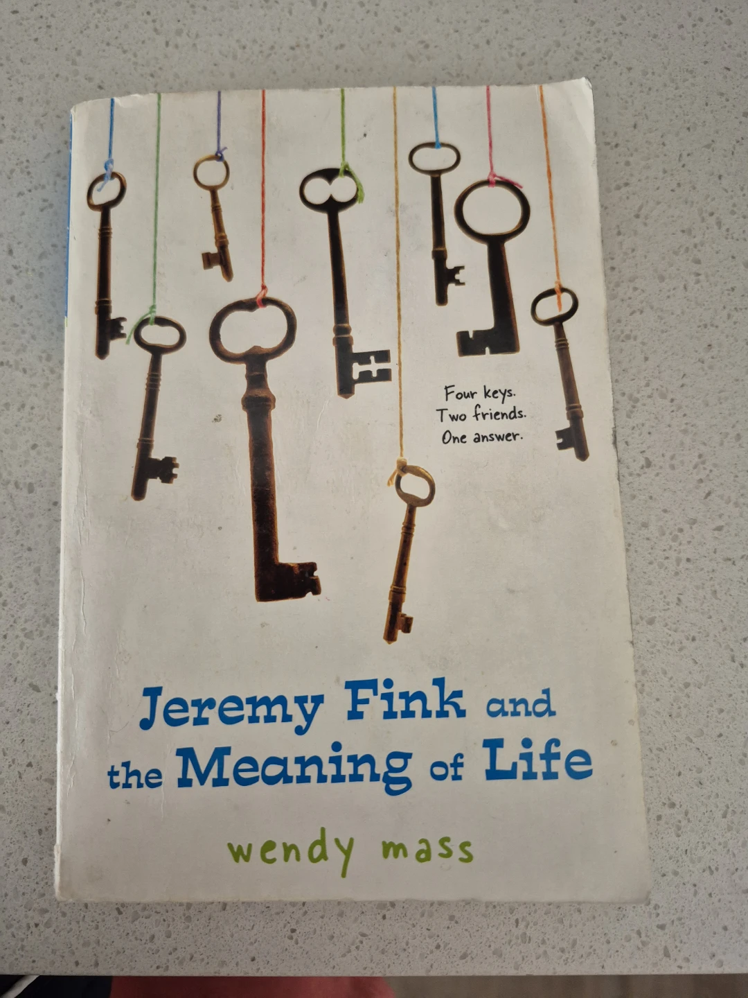 Jeremy Fink and the Meaning of Life by Wendy Mass