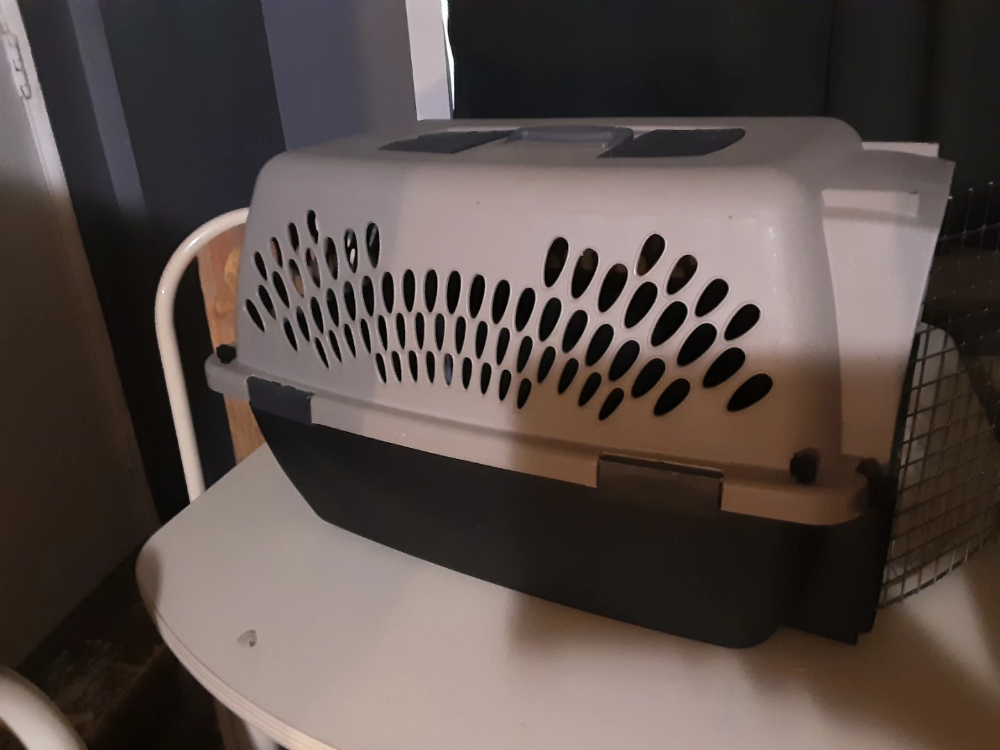 Doskocil Pet Taxi Carrier - photo 2