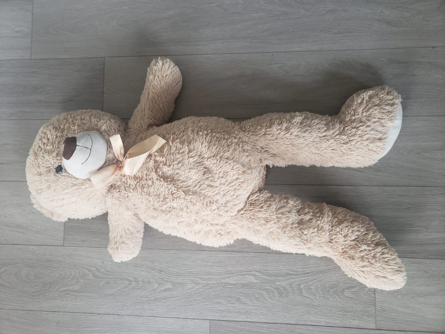 Collection of Four Plush Teddy Bears and a Panda - photo 2