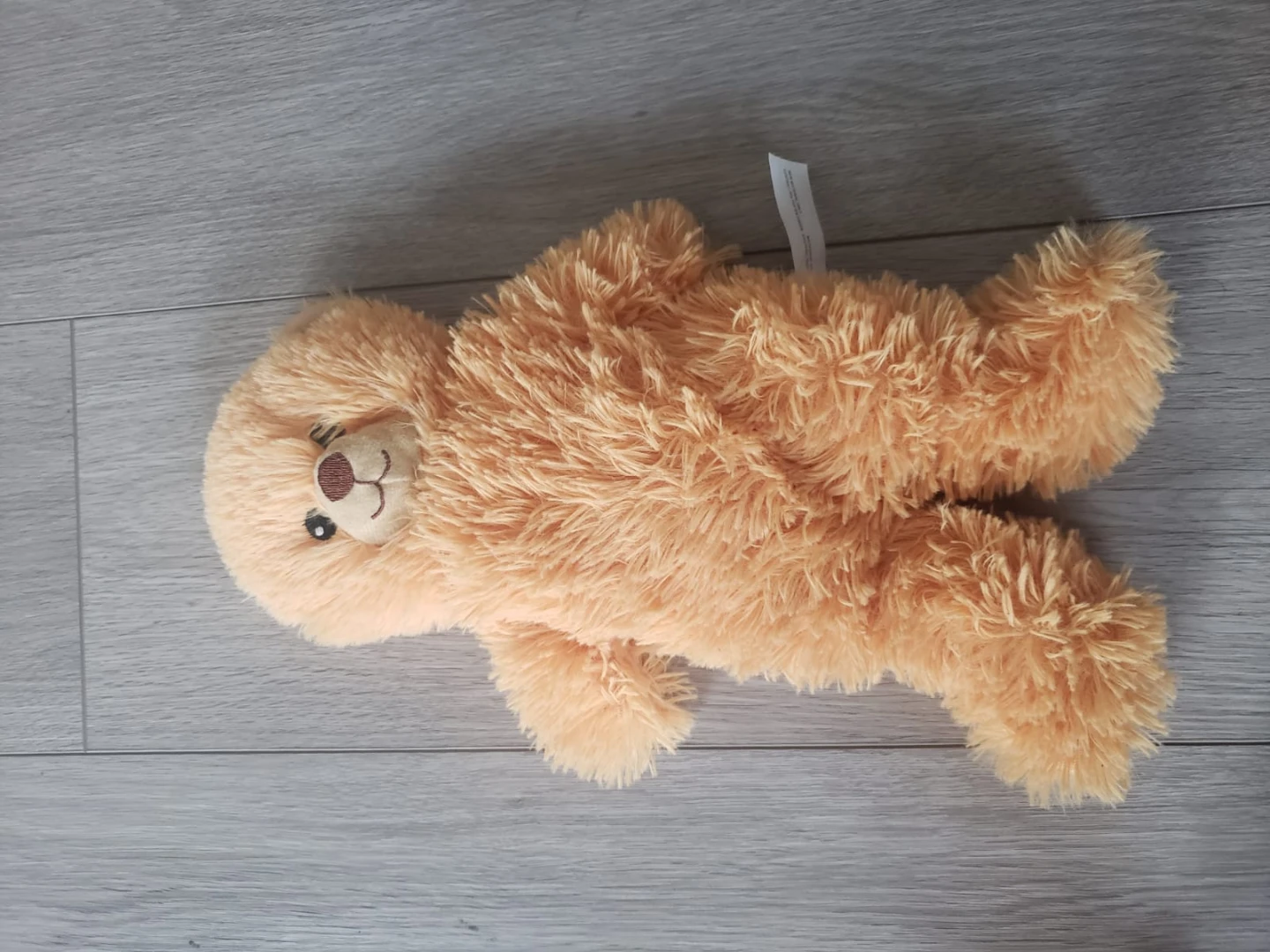 Collection of Four Plush Teddy Bears and a Panda - photo 3