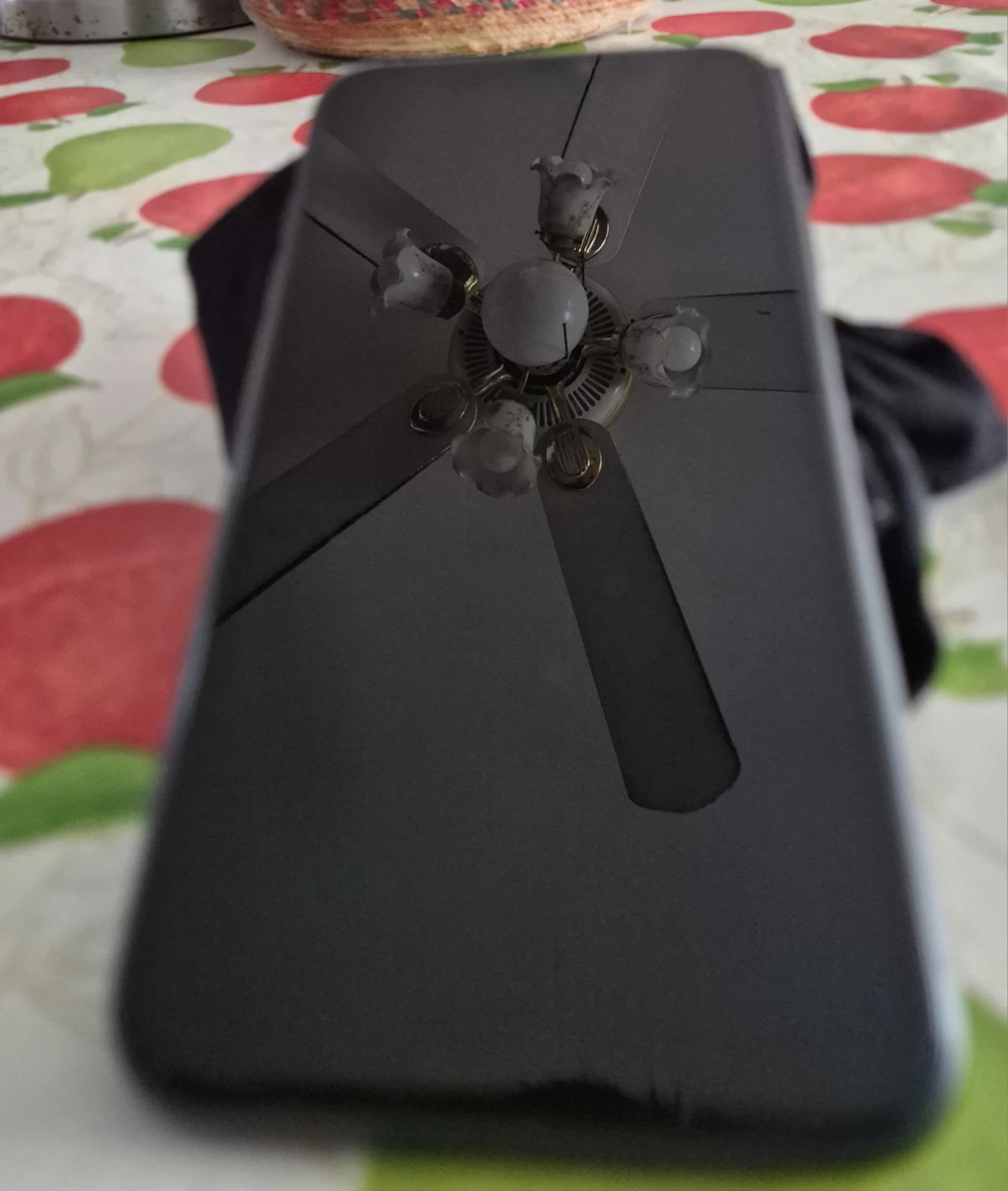 Apple iPhone 11 Black - photo 4