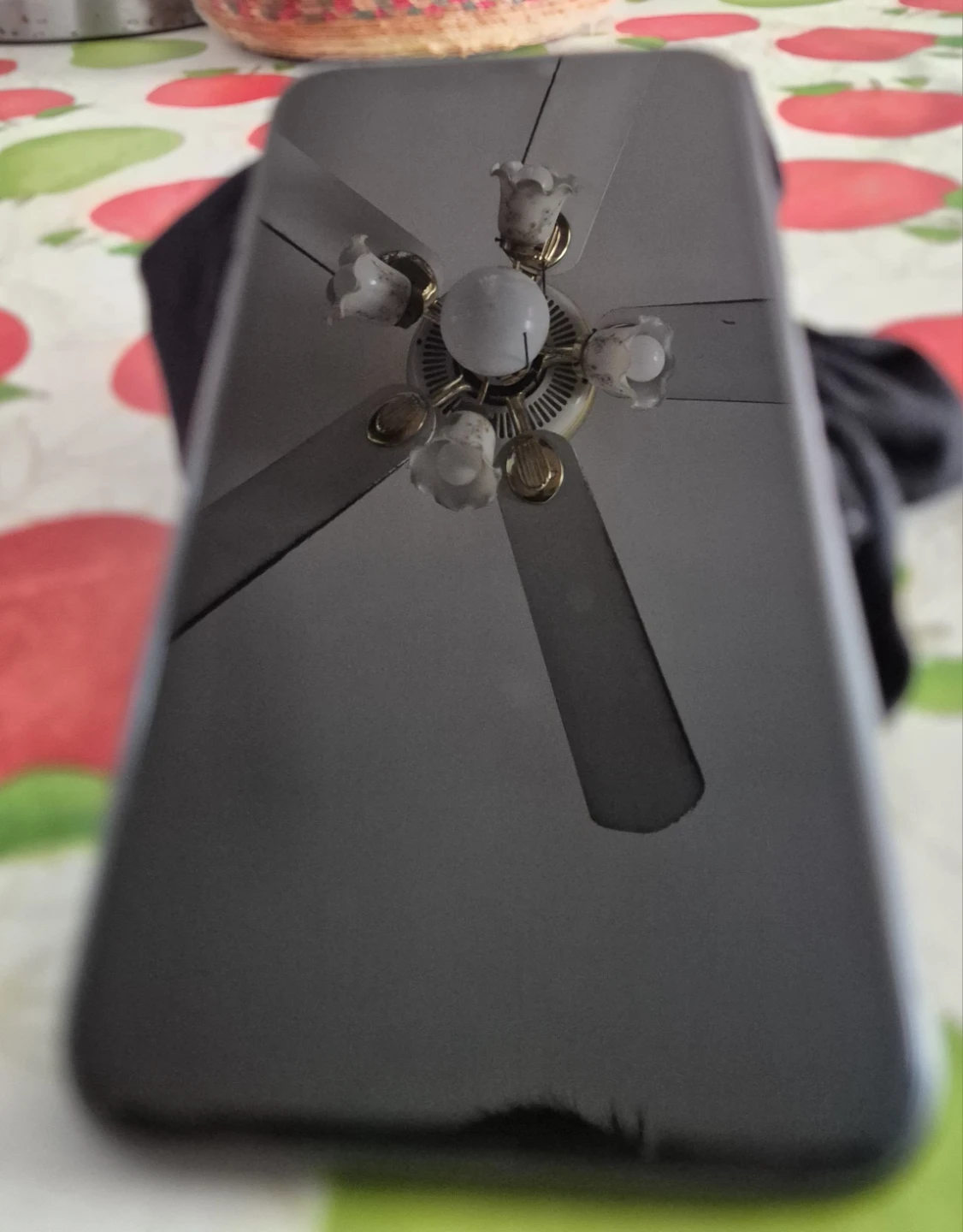 Apple iPhone 11 Black - photo 5