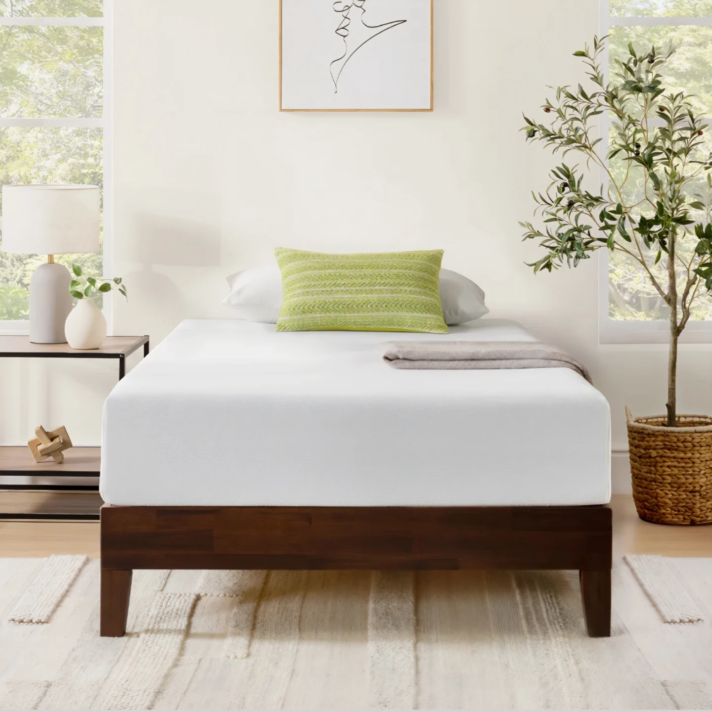 Queen Size 10" Plush Memory Foam Mattress