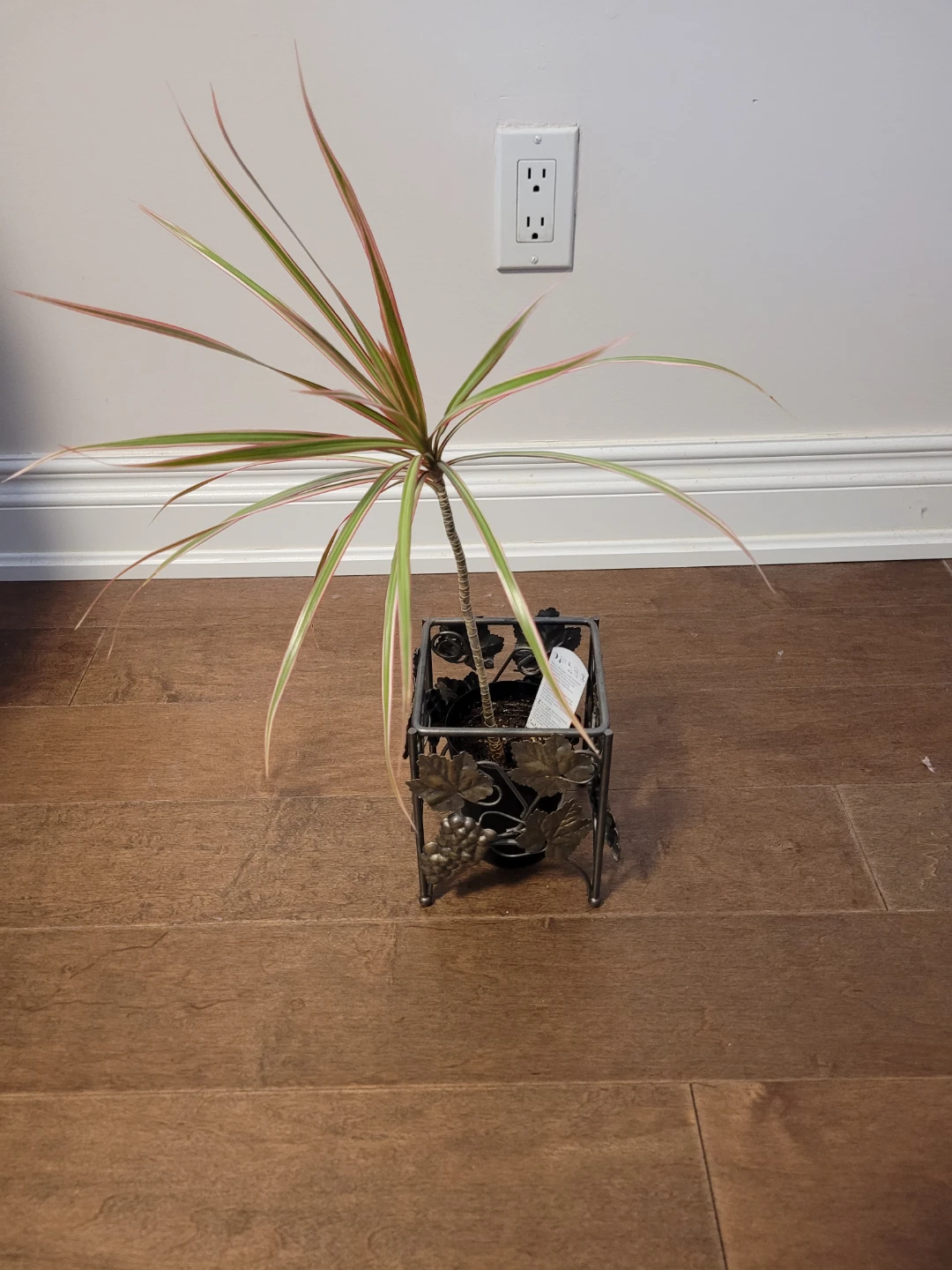 Metal Pot/ Plant Holder - photo 2