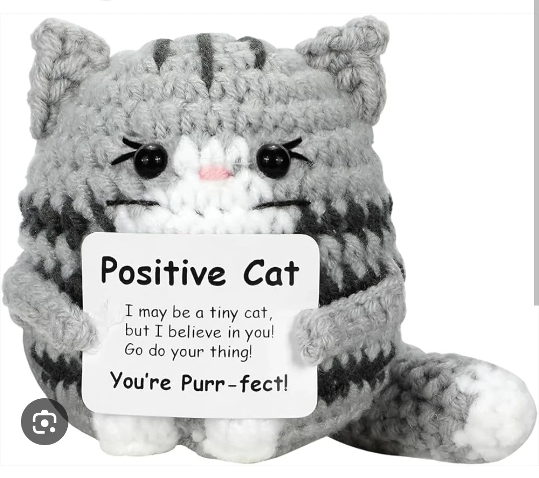 🐈Positive Cat Crocheted Amigurumi