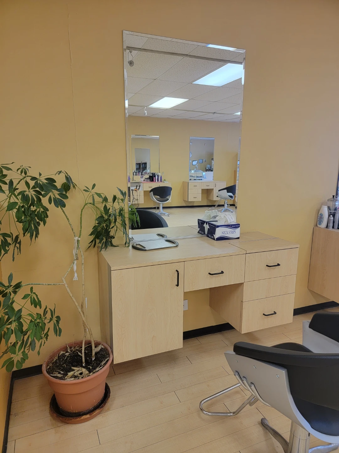 Salon furniture - photo 3