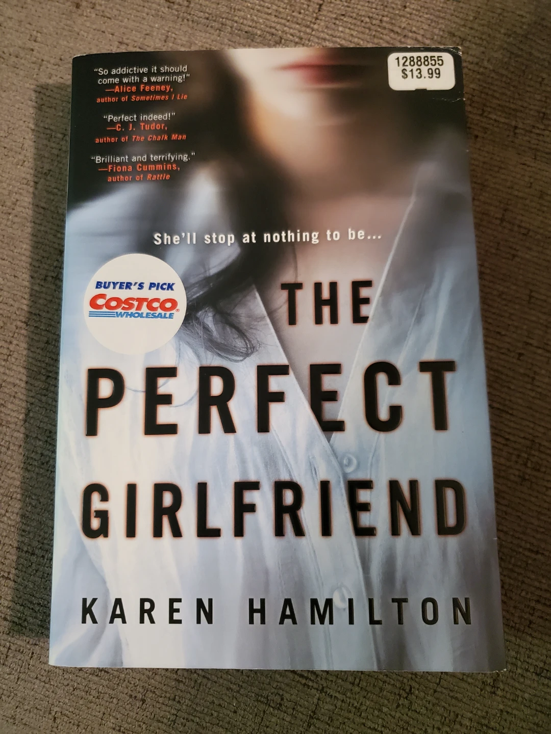 The Perfect Girlfriend by Karen Hamilton